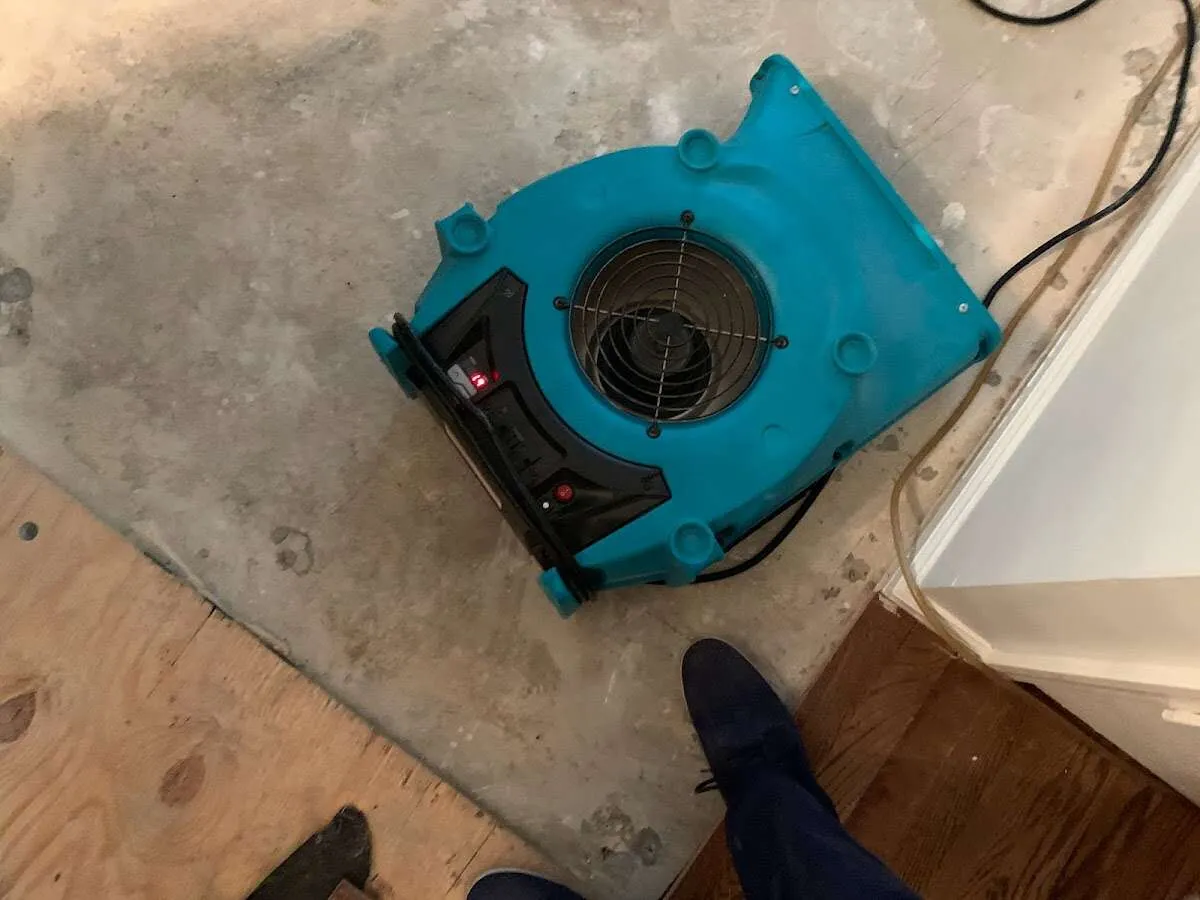 Air mover drying subfloor during Leak Detection & Repair in Central